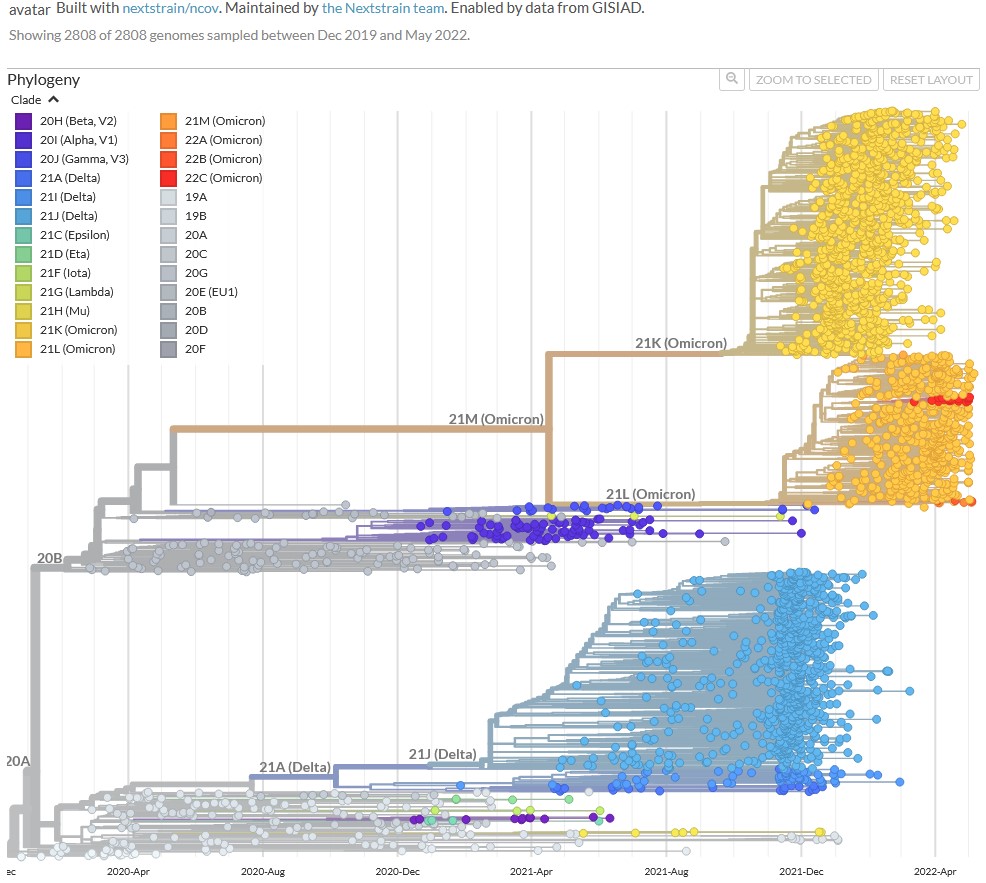 NextstrainCovid-19