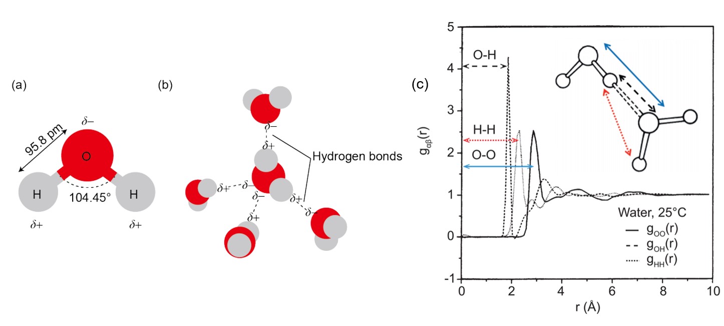 Figure2-WaterStructure